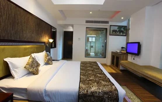 Elite Superior AC Room ( Fully AC )
