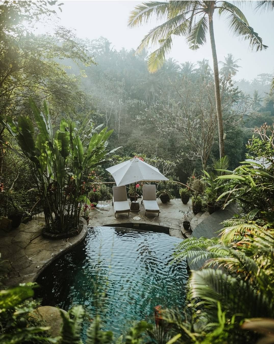 Jungle resort with infinity pool overlooking the Ubud rice terraces, Bali