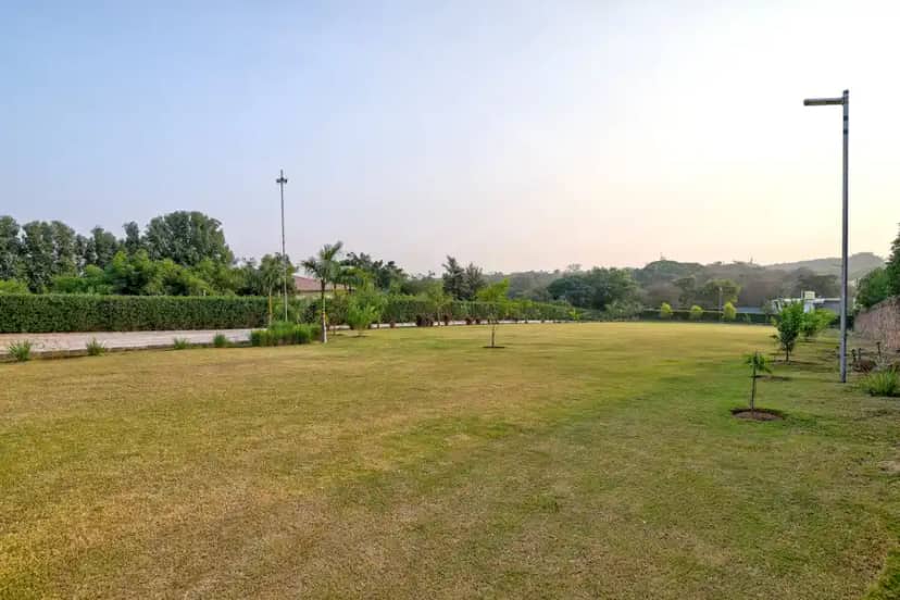 Amaltas, Delhi NCR
