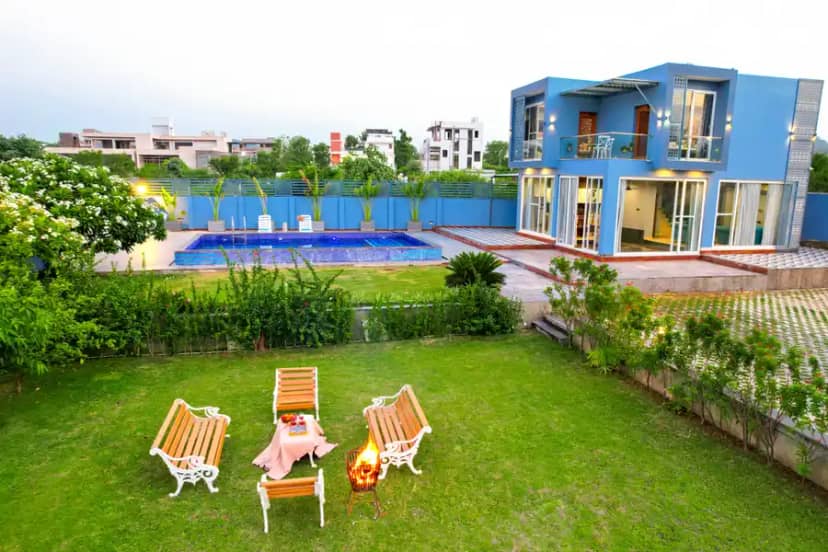 Bluebell, Udaipur