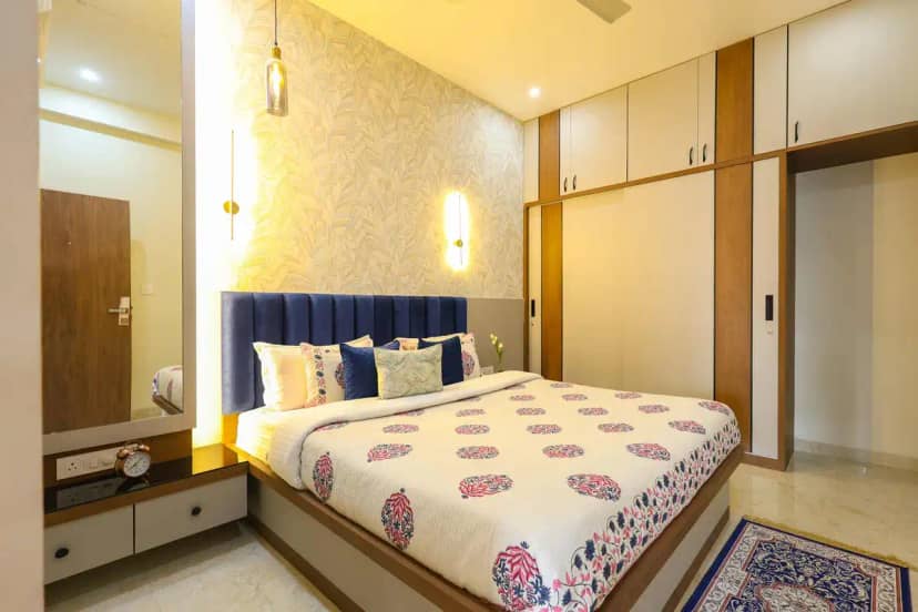 Cassias, Jaipur