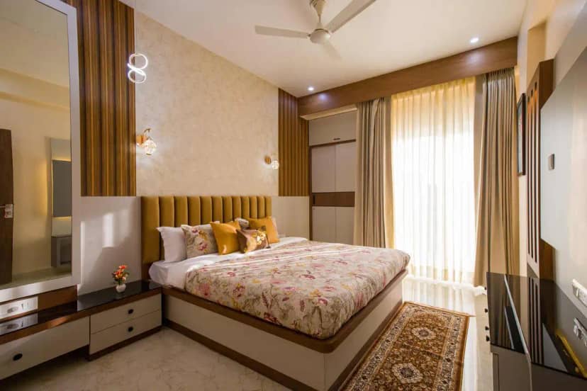 Cassias, Jaipur