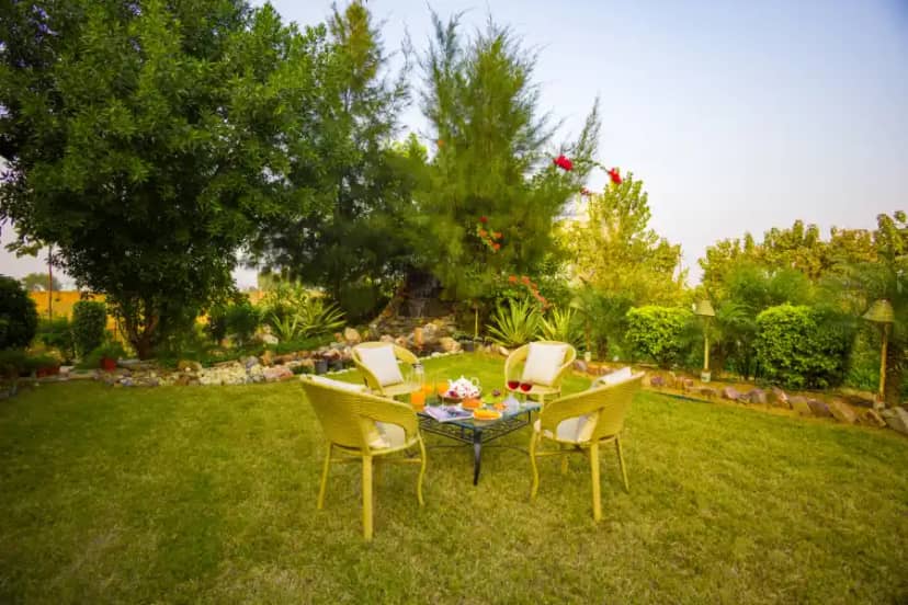 Dacha, Delhi NCR