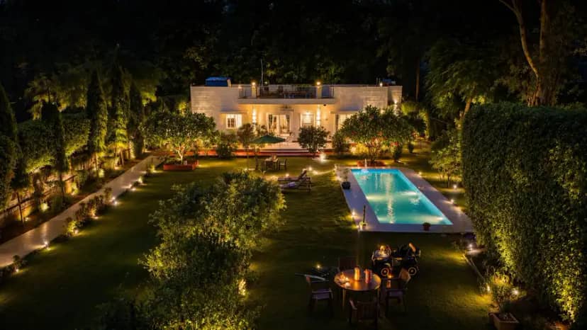 Daffodil, Delhi NCR