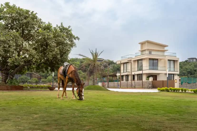 Mustang, Lonavala
