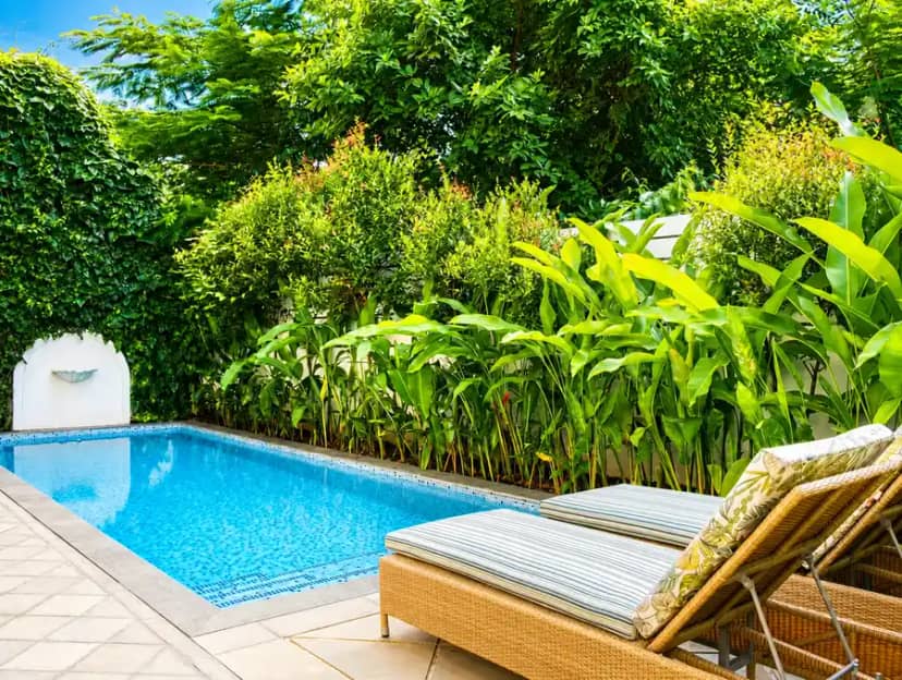 Panache, North Goa