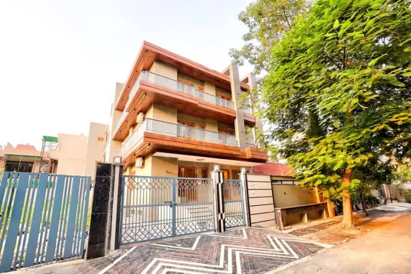 Zinnia, Delhi NCR