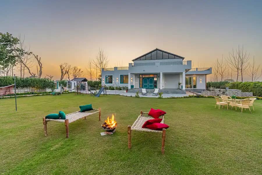 Colour Bloom - Karnal