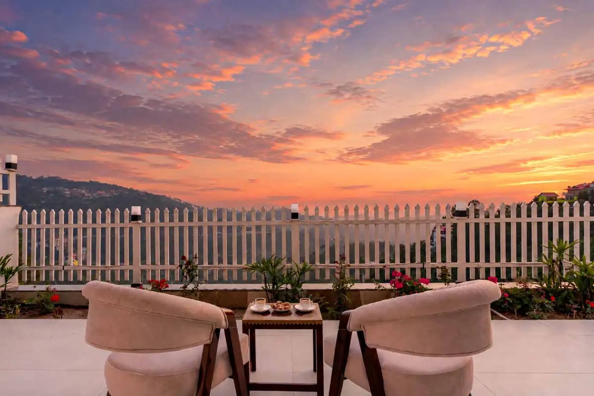 Gazania Villa