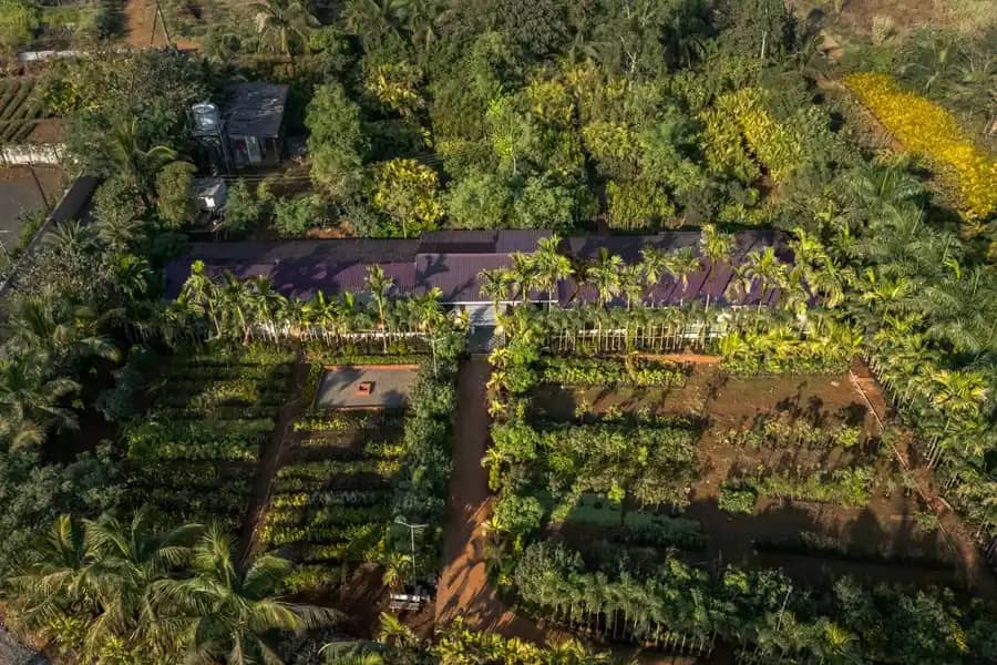 Green Heritage Villa