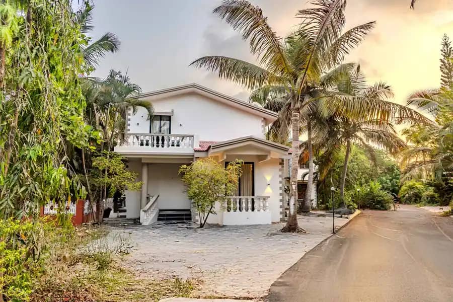 Tarika's Goldshore - Varca