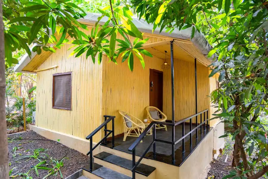 Timber Premium Suite