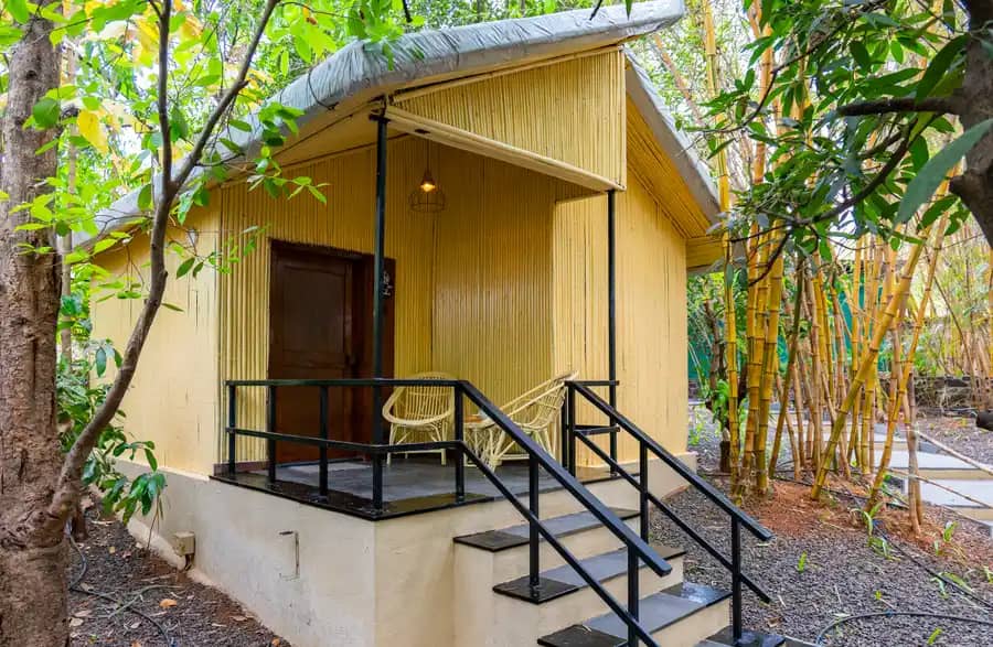 Timber Standard Suite